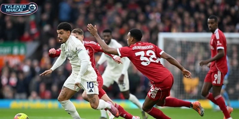 Đôi nét về phong độ cặp đấu Nottingham vs Liverpool