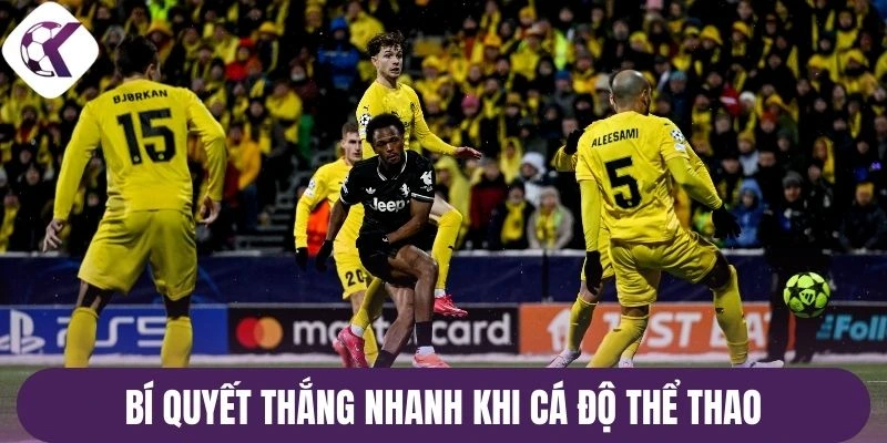 Bí quyết thắng nhanh khi cá độ thể thao
