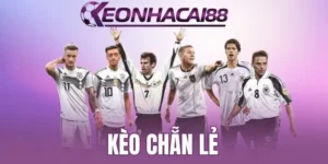 Giới thiệu top hình cược E/O thịnh hành 