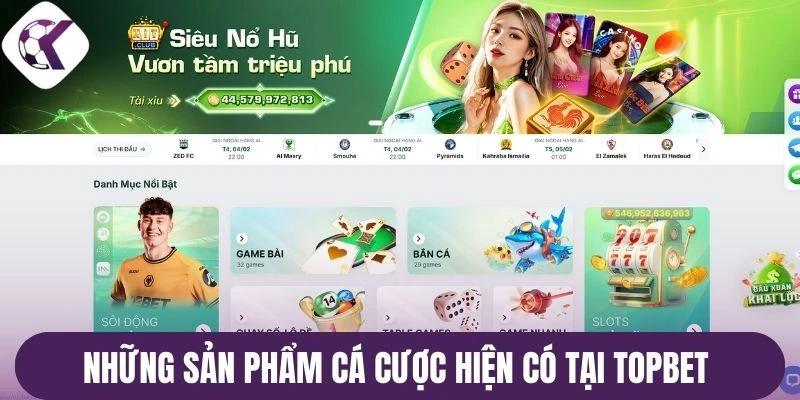 Những sản phẩm cá cược hiện có tại Topbet 