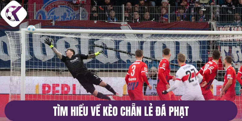 Tìm hiểu về kèo chẵn lẻ đá phạt