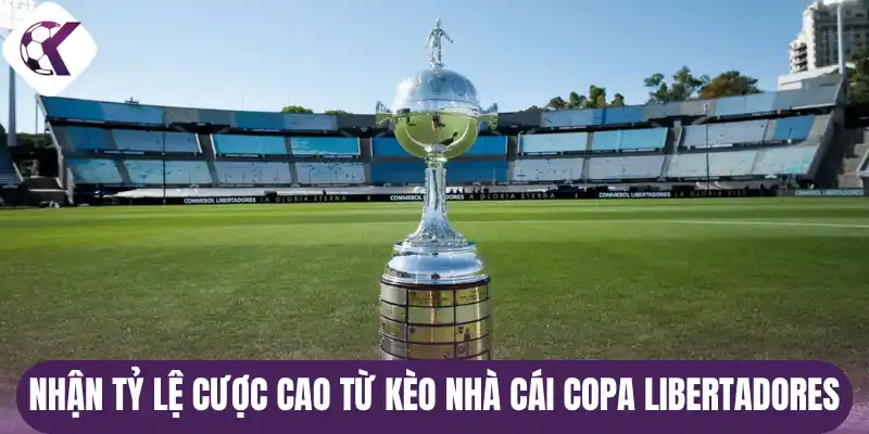 Nhận tỷ lệ cược cao từ kèo nhà cái Copa Libertadores