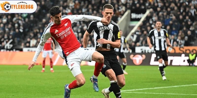 Tình hình Arsenal vs Newcastle 