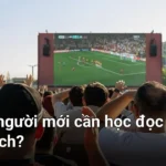 Học đọc kèo bóng đá không chỉ giúp bạn hiểu các con số trên ứng dụng - cách đọc kèo bóng đá cho người mới