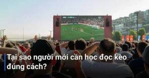 Học đọc kèo bóng đá không chỉ giúp bạn hiểu các con số trên ứng dụng - cách đọc kèo bóng đá cho người mới